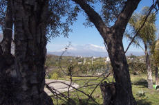 L'Etna vista attraverso gli alberi della villa